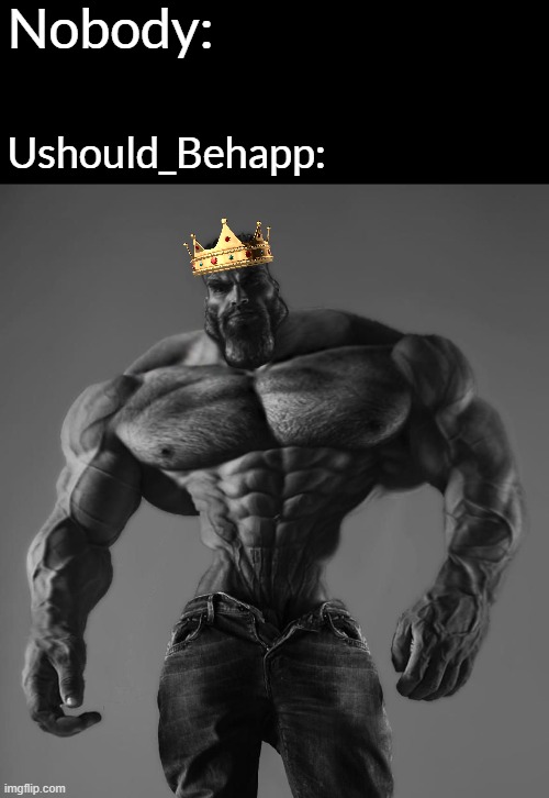 You're a KING bro :) | Nobody:; Ushould_Behapp: | image tagged in gigachad | made w/ Imgflip meme maker