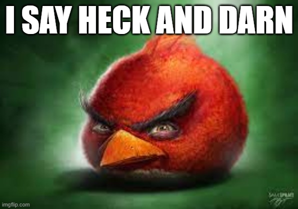 dang (srry for cuss word) | I SAY HECK AND DARN | image tagged in realistic red angry birds | made w/ Imgflip meme maker