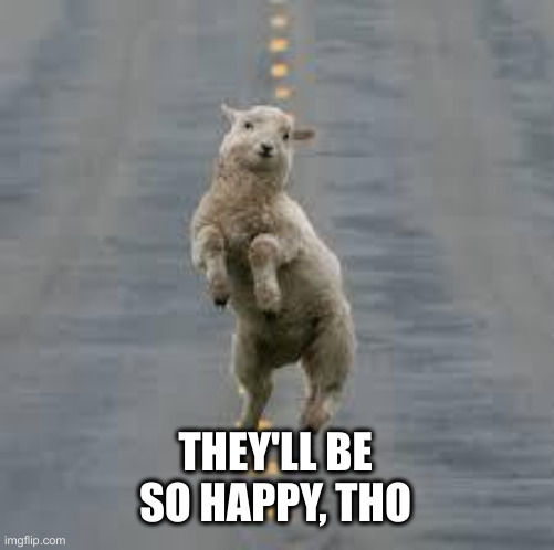 dancing sheep | THEY'LL BE SO HAPPY, THO | image tagged in dancing sheep | made w/ Imgflip meme maker