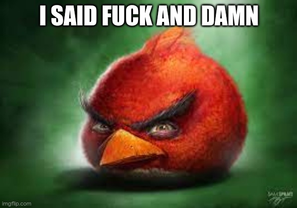 Realistic Red Angry Birds | I SAID FUCK AND DAMN | image tagged in realistic red angry birds | made w/ Imgflip meme maker