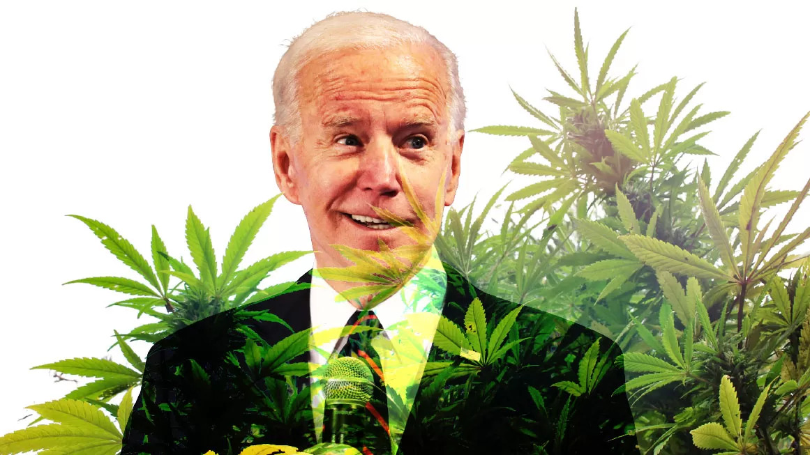 High Quality Biden Weed Blank Meme Template