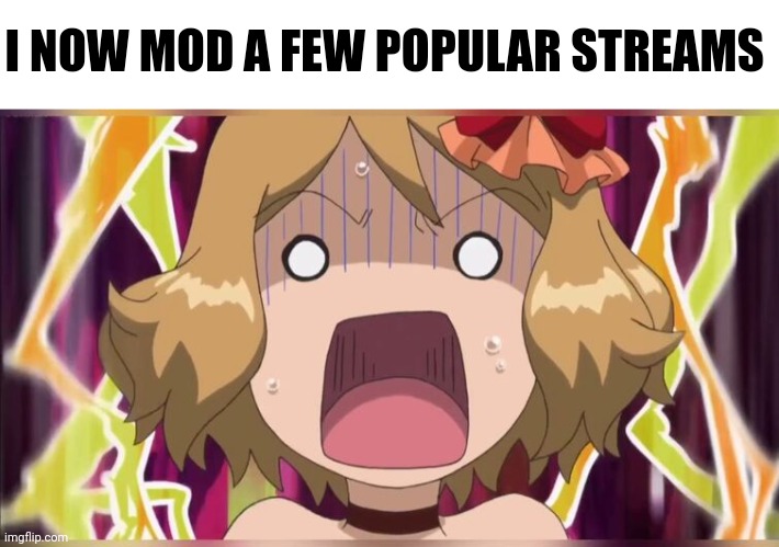 I turned off the follow notification because it kept getting spammed | I NOW MOD A FEW POPULAR STREAMS | image tagged in serena screm | made w/ Imgflip meme maker