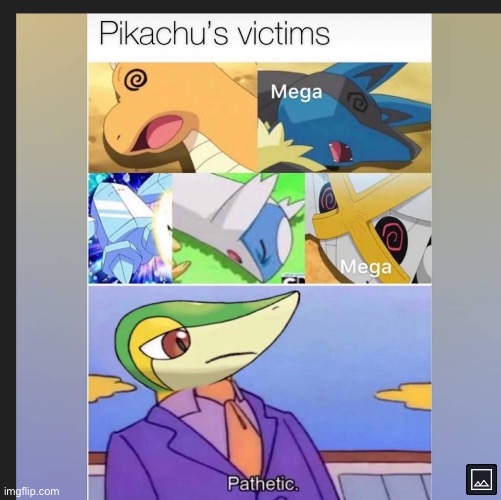 image tagged in pokemon,skinner pathetic | made w/ Imgflip meme maker