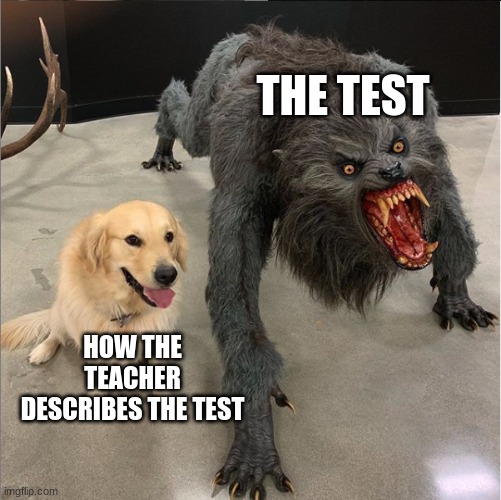 dog vs werewolf | THE TEST; HOW THE TEACHER DESCRIBES THE TEST | image tagged in dog vs werewolf | made w/ Imgflip meme maker