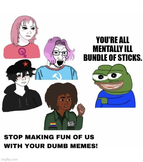 YOU'RE ALL MENTALLY ILL BUNDLE OF STICKS. | made w/ Imgflip meme maker