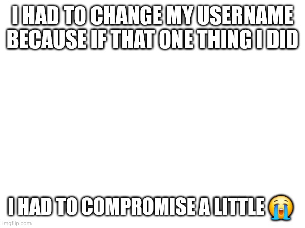 I HAD TO CHANGE MY USERNAME BECAUSE IF THAT ONE THING I DID; I HAD TO COMPROMISE A LITTLE 😭 | made w/ Imgflip meme maker