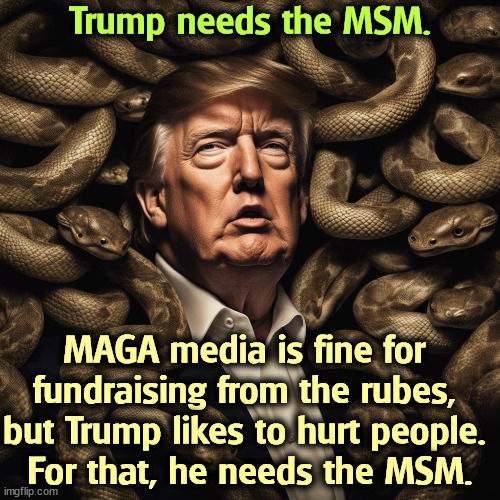 Trump needs the MSM. MAGA media is fine for 
fundraising from the rubes, 
but Trump likes to hurt people. 
For that, he needs the MSM. | image tagged in trump,msm,maga,money,sadism,disgusting | made w/ Imgflip meme maker