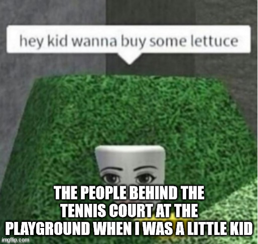 lettuce | THE PEOPLE BEHIND THE TENNIS COURT AT THE PLAYGROUND WHEN I WAS A LITTLE KID | image tagged in lettuce | made w/ Imgflip meme maker