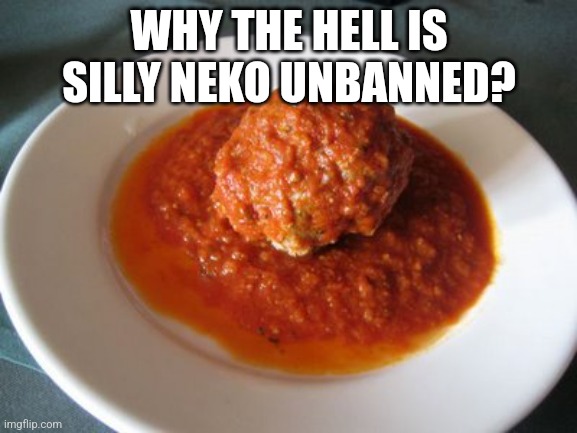 Meatball | WHY THE HELL IS SILLY NEKO UNBANNED? | image tagged in meatball | made w/ Imgflip meme maker