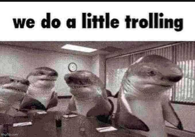 we do a little trolling | image tagged in we do a little trolling | made w/ Imgflip meme maker