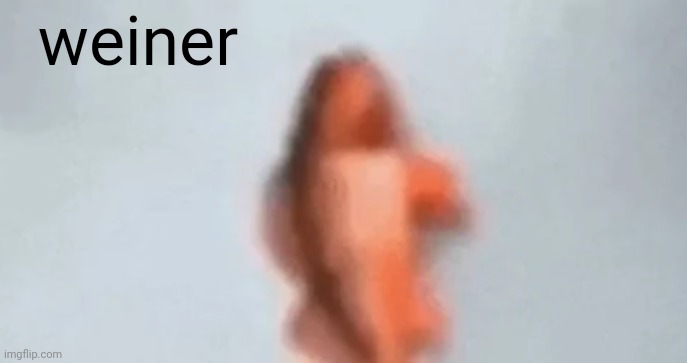 fish | weiner | image tagged in fish | made w/ Imgflip meme maker