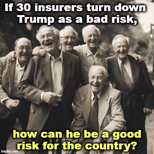 If 30 insurers turn down 
Trump as a bad risk, how can he be a good risk for the country? | image tagged in trump,bad,risk,deadbeat dad,stiff,debts | made w/ Imgflip meme maker