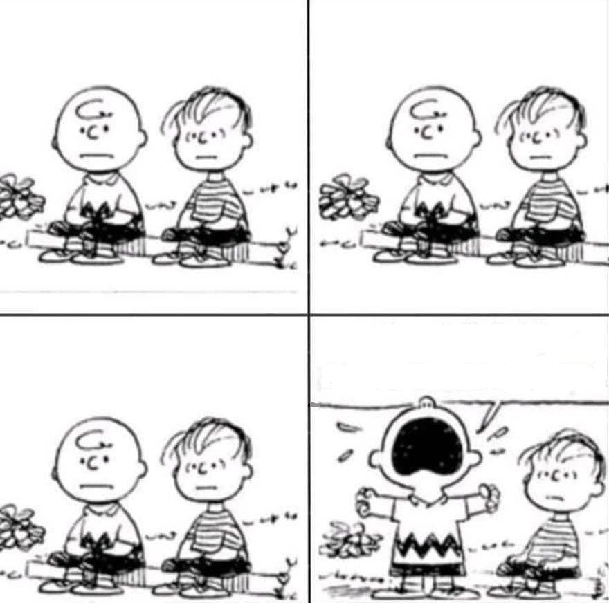 Frustrated Charlie Brown and Linus Blank Meme Template