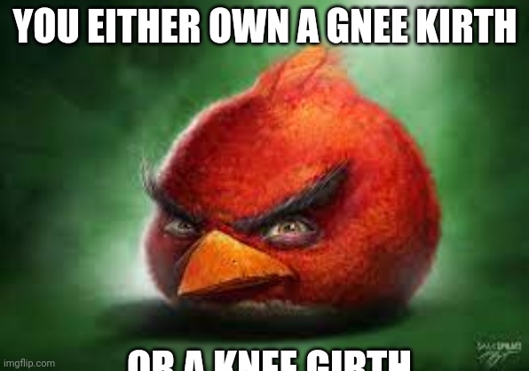 Realistic Red Angry Birds | YOU EITHER OWN A GNEE KIRTH; OR A KNEE GIRTH | image tagged in realistic red angry birds | made w/ Imgflip meme maker