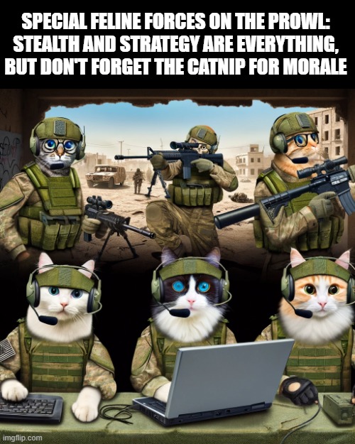Call Of Duty | SPECIAL FELINE FORCES ON THE PROWL: STEALTH AND STRATEGY ARE EVERYTHING, BUT DON'T FORGET THE CATNIP FOR MORALE | image tagged in gaming | made w/ Imgflip meme maker