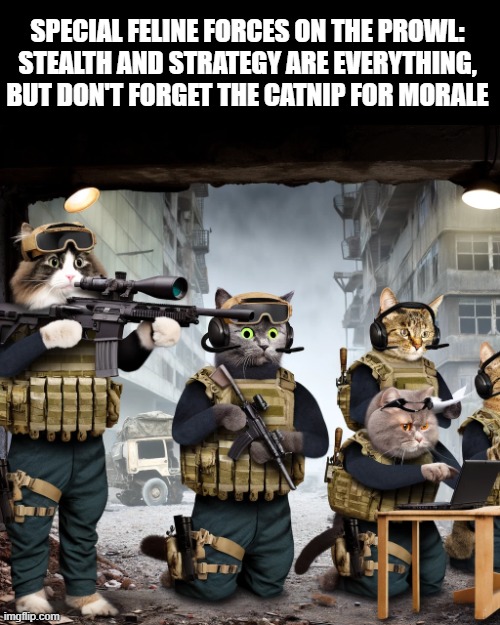 Call Of Duty | SPECIAL FELINE FORCES ON THE PROWL: STEALTH AND STRATEGY ARE EVERYTHING, BUT DON'T FORGET THE CATNIP FOR MORALE | image tagged in gaming | made w/ Imgflip meme maker