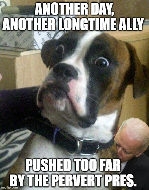 Surprised Dog | ANOTHER DAY, ANOTHER LONGTIME ALLY; PUSHED TOO FAR BY THE PERVERT PRES. | image tagged in surprised dog | made w/ Imgflip meme maker