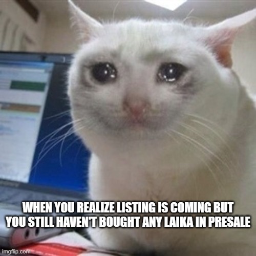 Crying cat | WHEN YOU REALIZE LISTING IS COMING BUT YOU STILL HAVEN'T BOUGHT ANY LAIKA IN PRESALE | image tagged in crying cat | made w/ Imgflip meme maker