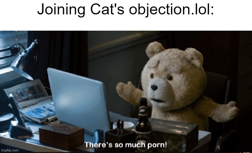 There's so much porn! | Joining Cat's objection.lol: | image tagged in there's so much porn | made w/ Imgflip meme maker