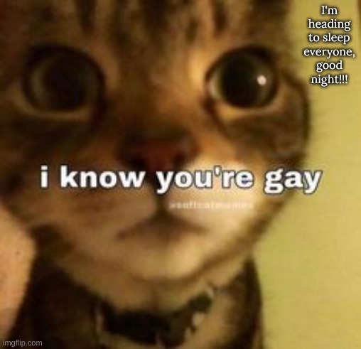 I'm heading to sleep everyone, good night!!! | image tagged in m | made w/ Imgflip meme maker