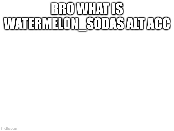 BRO WHAT IS WATERMELON_SODAS ALT ACC | image tagged in m | made w/ Imgflip meme maker