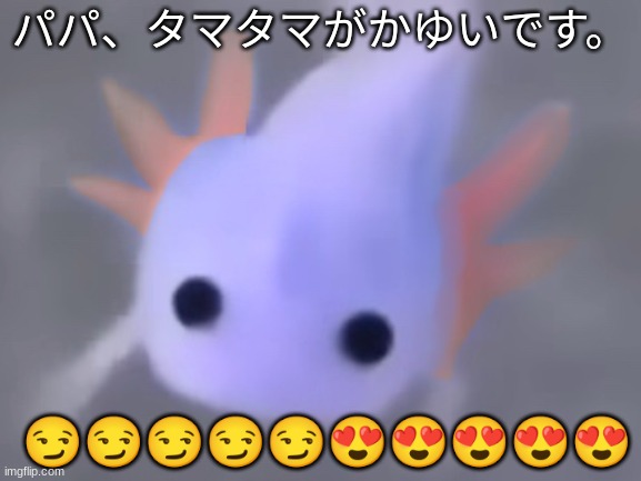 @tawadahiyeda_official (instagram) | パパ、タマタマがかゆいです。; 😏😏😏😏😏😍😍😍😍😍 | image tagged in minecraft axolotl real | made w/ Imgflip meme maker