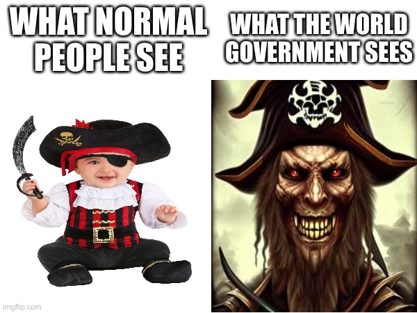 THIS BABY IS GETTING A BOUNTY ON THIS ONE! | WHAT THE WORLD GOVERNMENT SEES; WHAT NORMAL PEOPLE SEE | image tagged in one piece | made w/ Imgflip meme maker