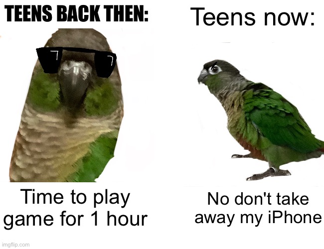 Teens then vs Teens now (Birb edition) | TEENS BACK THEN:; Teens now:; Time to play game for 1 hour; No don't take away my iPhone | image tagged in memes,buff doge vs cheems,birb | made w/ Imgflip meme maker