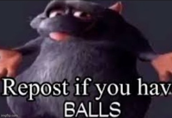 Repost if you have balls | image tagged in repost,repost this,reposts,ratatouille | made w/ Imgflip meme maker