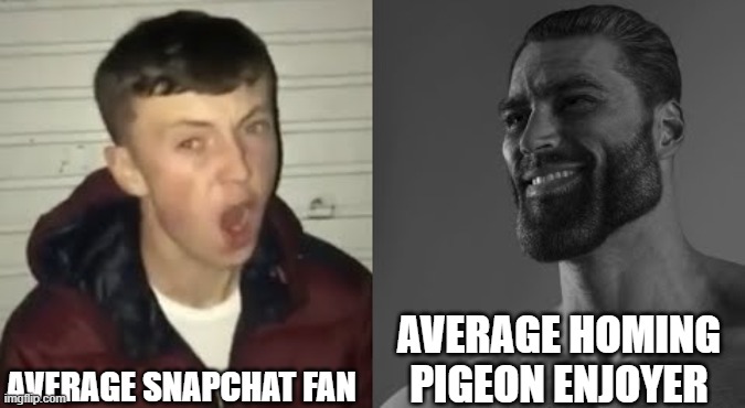 homing pigeon enjoyer | AVERAGE SNAPCHAT FAN; AVERAGE HOMING PIGEON ENJOYER | image tagged in average enjoyer meme,memes | made w/ Imgflip meme maker
