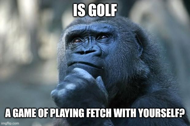 Deep Thoughts | IS GOLF; A GAME OF PLAYING FETCH WITH YOURSELF? | image tagged in deep thoughts | made w/ Imgflip meme maker