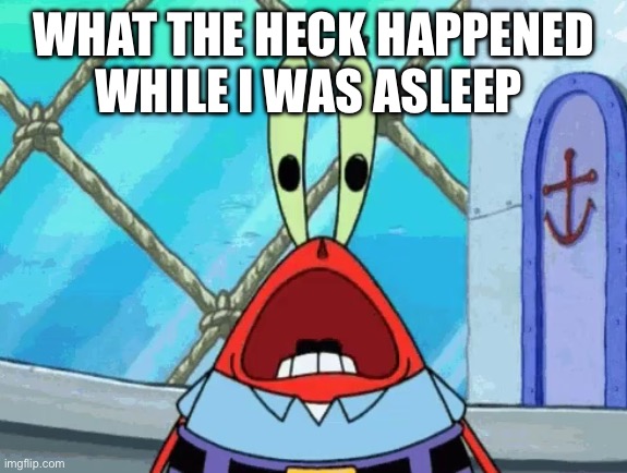 Surprised Mr Krabs | WHAT THE HECK HAPPENED WHILE I WAS ASLEEP | image tagged in surprised mr krabs | made w/ Imgflip meme maker