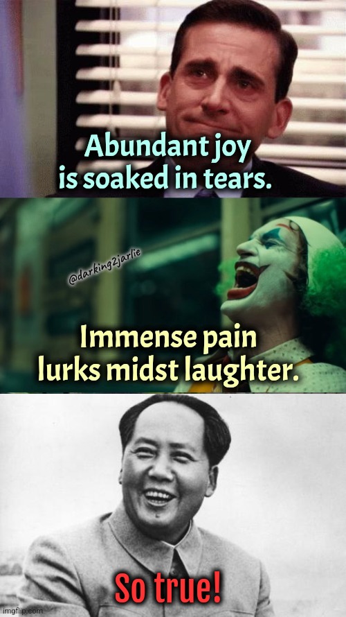 Saint Mao's laughter hides millions of pain :'( | So true! | image tagged in the most interesting mao in the world,joker,depression,joy | made w/ Imgflip meme maker