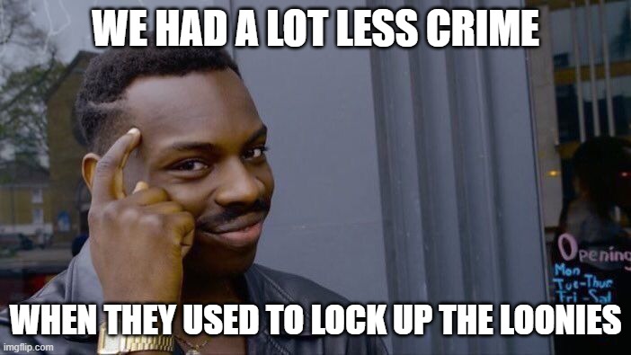 Roll Safe Think About It Meme | WE HAD A LOT LESS CRIME; WHEN THEY USED TO LOCK UP THE LOONIES | image tagged in memes,roll safe think about it | made w/ Imgflip meme maker