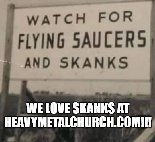 We Love Skanks! | WE LOVE SKANKS AT HEAVYMETALCHURCH.COM!!! | image tagged in skanks,funny memes | made w/ Imgflip meme maker