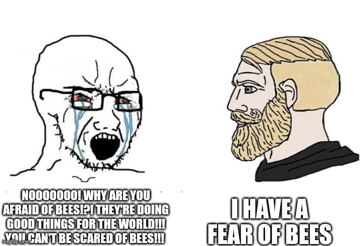 This always happened when I was a kid | I HAVE A FEAR OF BEES; NOOOOOOO! WHY ARE YOU AFRAID OF BEES!?! THEY'RE DOING GOOD THINGS FOR THE WORLD!!! YOU CAN'T BE SCARED OF BEES!!! | image tagged in soyboy vs yes chad | made w/ Imgflip meme maker