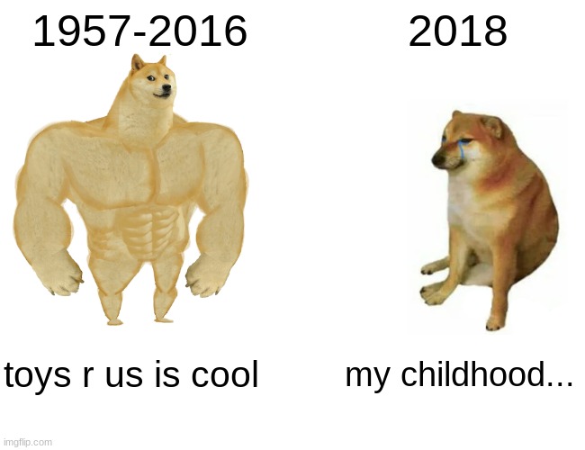 everyone's childhood, for 1950s-2010s kids | 1957-2016; 2018; toys r us is cool; my childhood... | image tagged in memes,buff doge vs cheems,toys r us,childhood,relatable memes | made w/ Imgflip meme maker