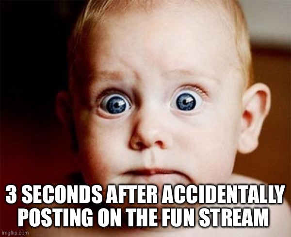 Oops baby | 3 SECONDS AFTER ACCIDENTALLY POSTING ON THE FUN STREAM | image tagged in oops | made w/ Imgflip meme maker