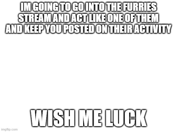 IM GOING TO GO INTO THE FURRIES STREAM AND ACT LIKE ONE OF THEM AND KEEP YOU POSTED ON THEIR ACTIVITY; WISH ME LUCK | made w/ Imgflip meme maker