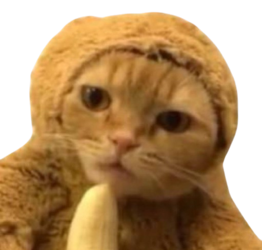 monkeycat Blank Meme Template