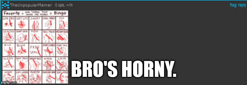 *insert staring disaproval* | BRO'S HORNY. | image tagged in msmg | made w/ Imgflip meme maker