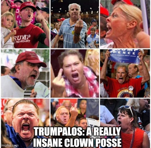 Trumpets are nuts | TRUMPALOS: A REALLY INSANE CLOWN POSSE | image tagged in triggered trump supporters | made w/ Imgflip meme maker