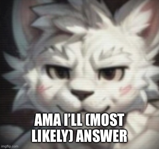 No private information | AMA I’LL (MOST LIKELY) ANSWER | image tagged in mankisser | made w/ Imgflip meme maker