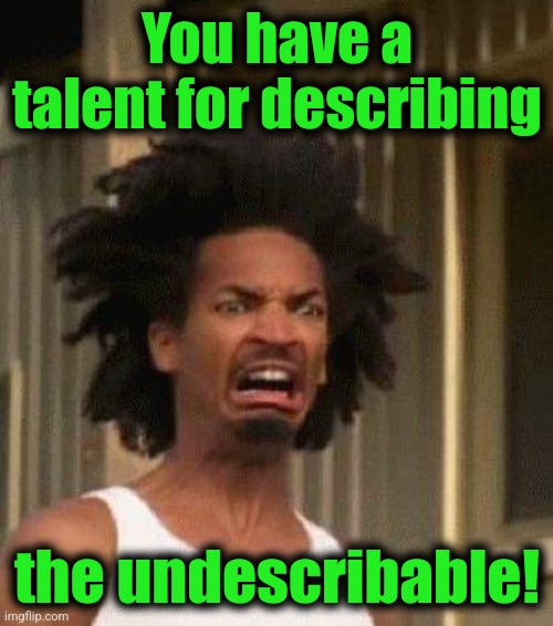 Disgusted Face | You have a talent for describing the undescribable! | image tagged in disgusted face | made w/ Imgflip meme maker