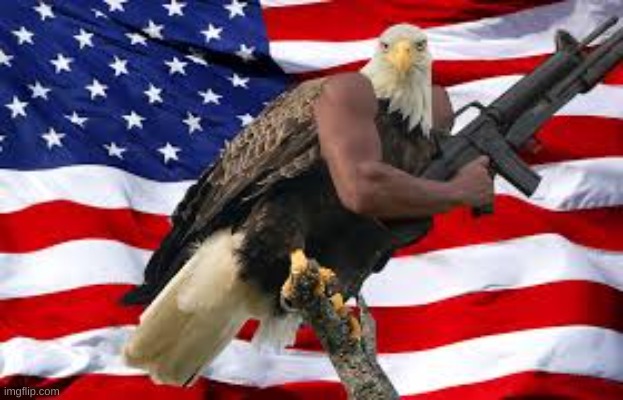 Murica Eagle M16 | image tagged in murica eagle m16 | made w/ Imgflip meme maker