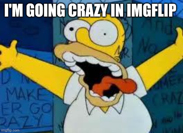 I'm crazy | I'M GOING CRAZY IN IMGFLIP | image tagged in homer going crazy | made w/ Imgflip meme maker
