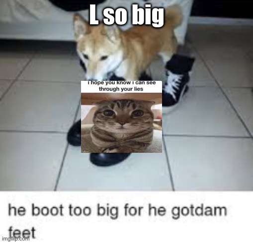 L so big boot too big | image tagged in l so big boot too big | made w/ Imgflip meme maker