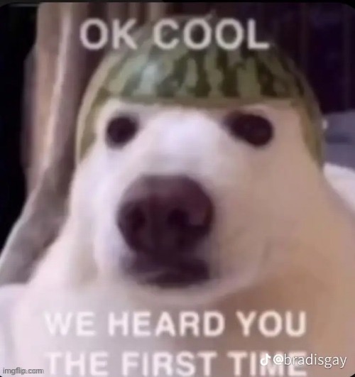 ok cool we heard you the first time | image tagged in ok cool we heard you the first time | made w/ Imgflip meme maker