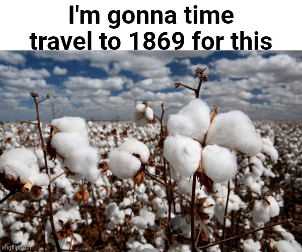 Inspired by SardineYoghurt on the Dark Humor stream! | I'm gonna time travel to 1869 for this | image tagged in memes | made w/ Imgflip meme maker