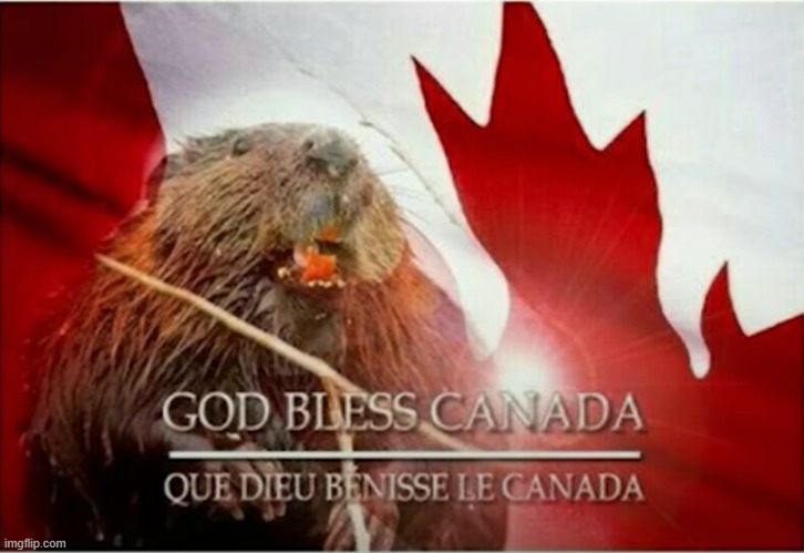 This is new | image tagged in god bless canada | made w/ Imgflip meme maker